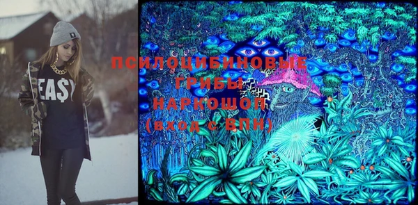 шишки Алзамай