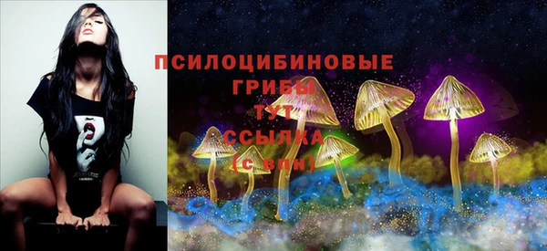 шишки Алзамай