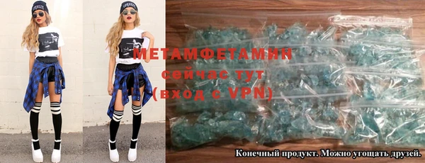прущие грибы Осташков