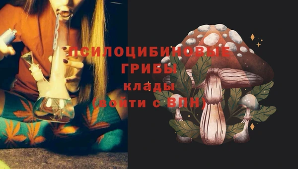 соль ск Алексин